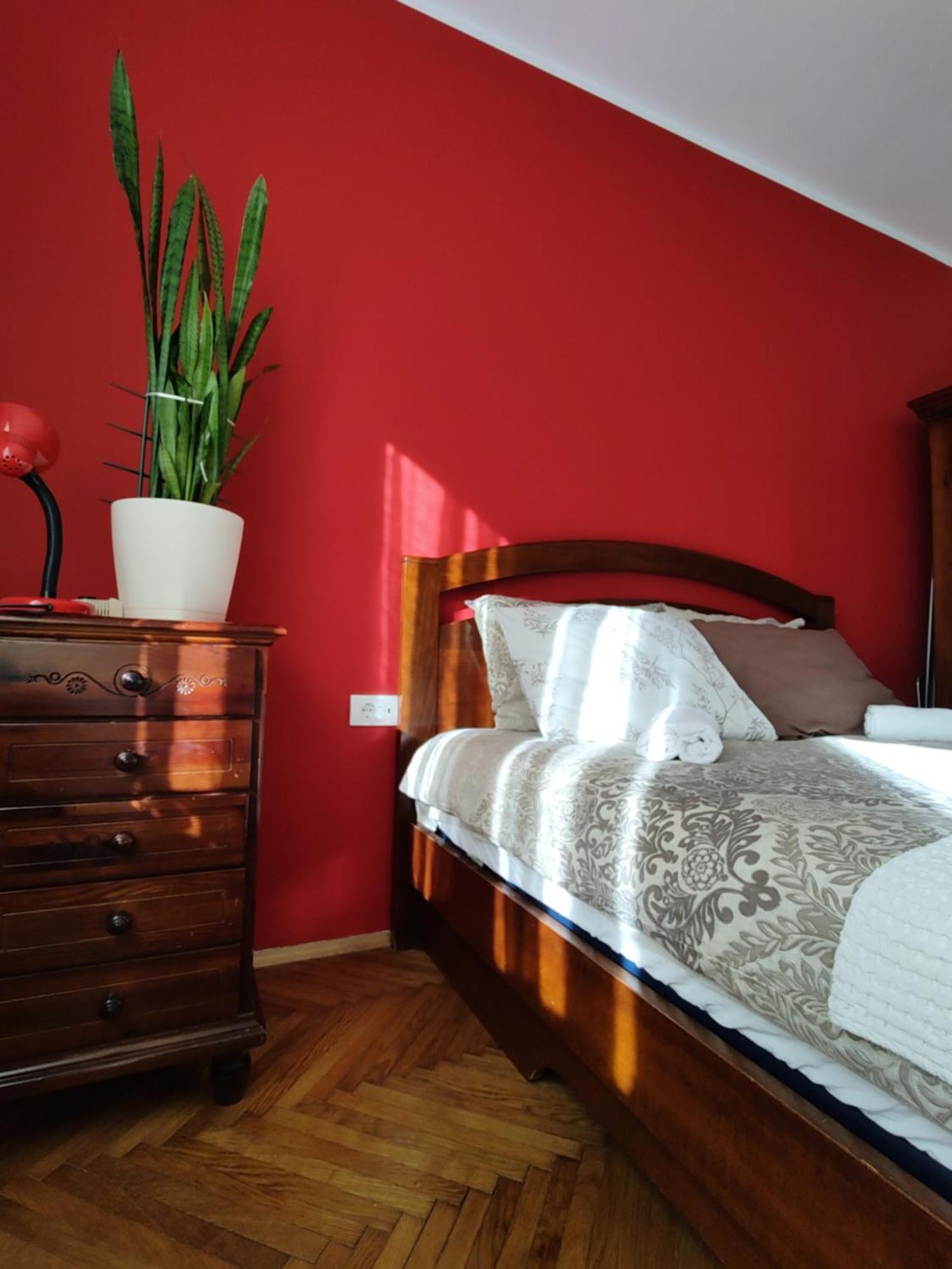 בלגרד Bgholik Studio Apartment מראה חיצוני תמונה